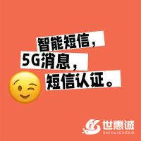 平台网站短信对接_商城网站sms短信验证码对接服务